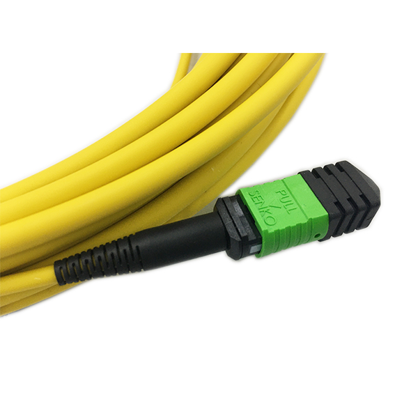 24F MPO-MPO SM 4.5mm dual jackets 2