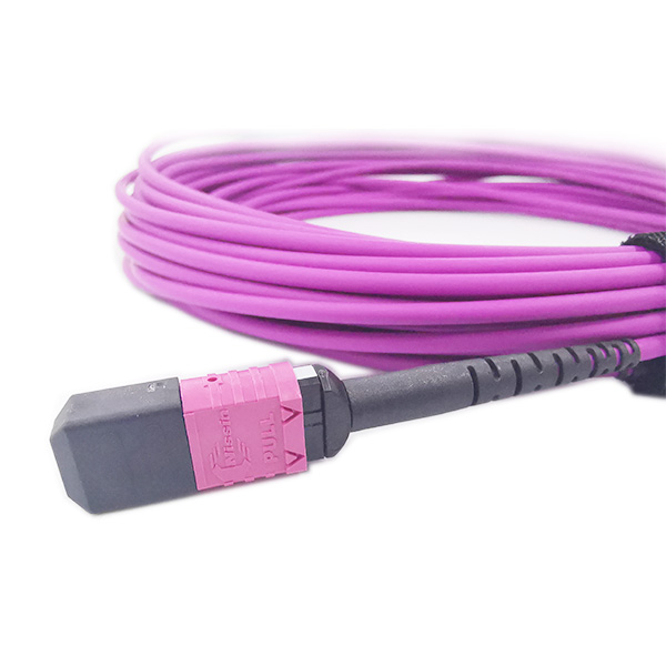 12C MPO F-MPO F OM4 3.0mm typeB 23M LSZH