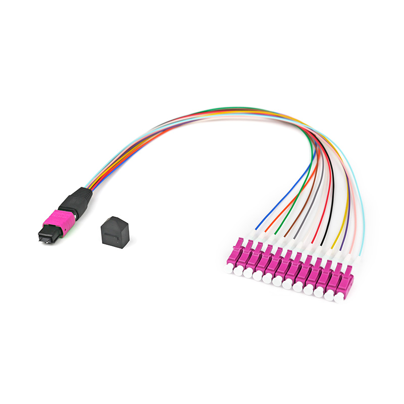 MPO/MTP Fiber Optic Jumper/MPO/MTP patch cord
