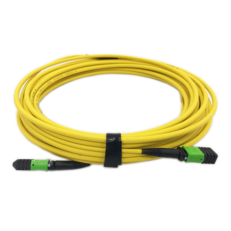 24F MPO-MPO SM 4.5mm dual jackets 2